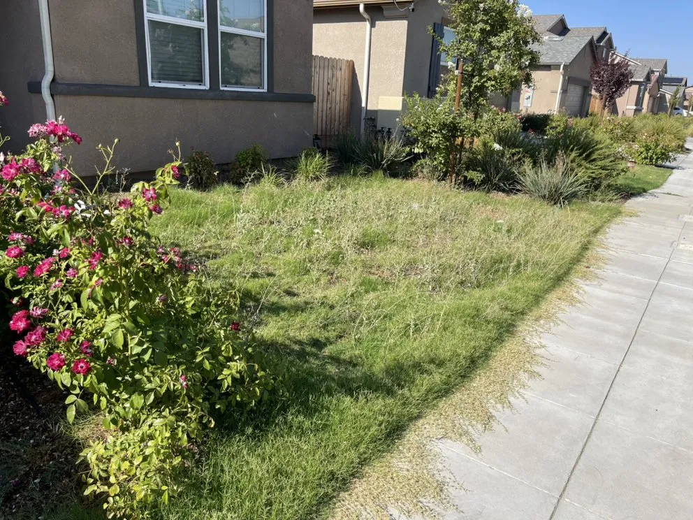 Professional residential landscaping for homes across Fresno, CA - Jr Landscaping Maintenance