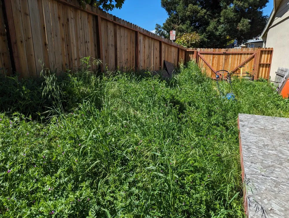 Top-rated landscape design for outdoor upgrades across Oakland, CA - JR Landscaping