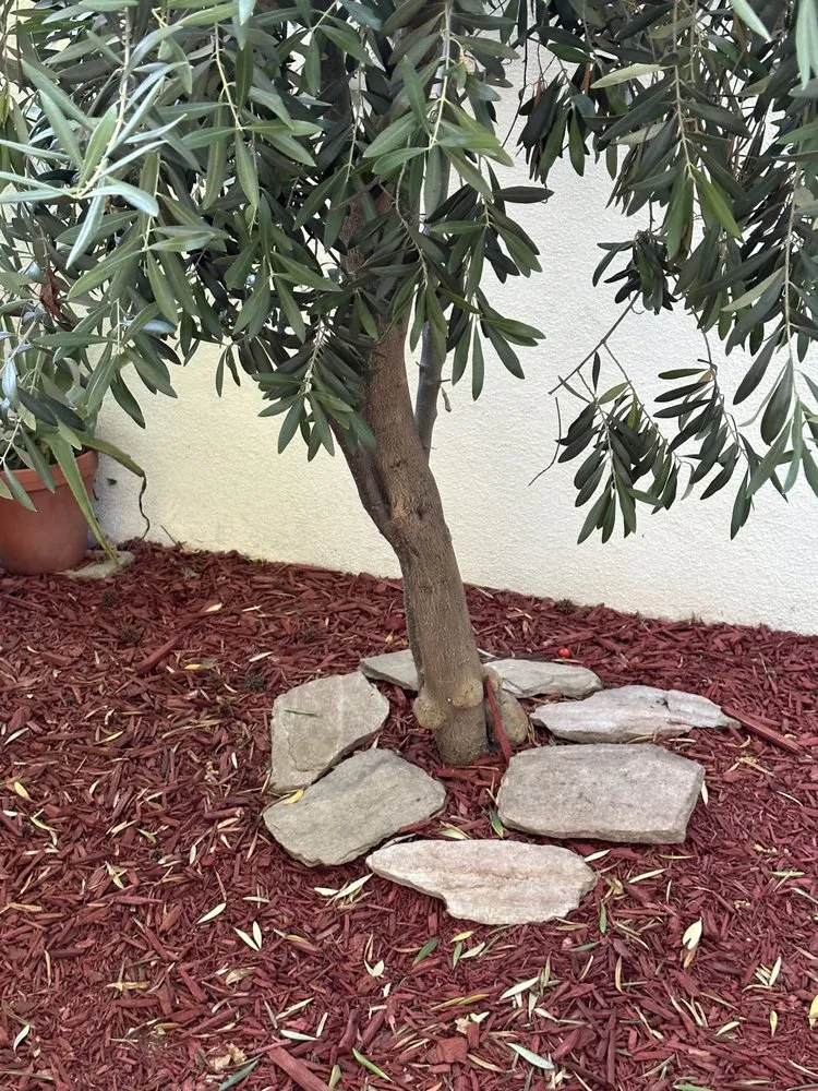 Affordable landscaping services in Oakland, CA - JR Landscaping