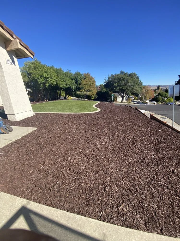 Expert yard maintenance for year-round maintenance across Oakland, CA - JR Landscaping