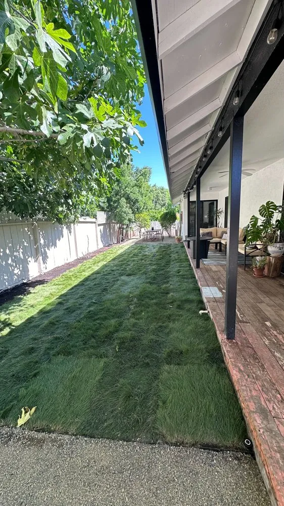 Trusted yard maintenance for homes in Oakland, CA by JR Landscaping