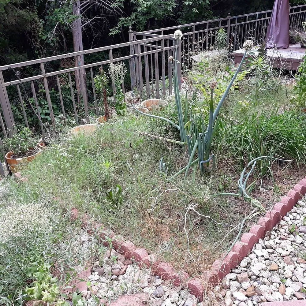 Local landscaping services with custom design across Orange, TX - JR Landscaping