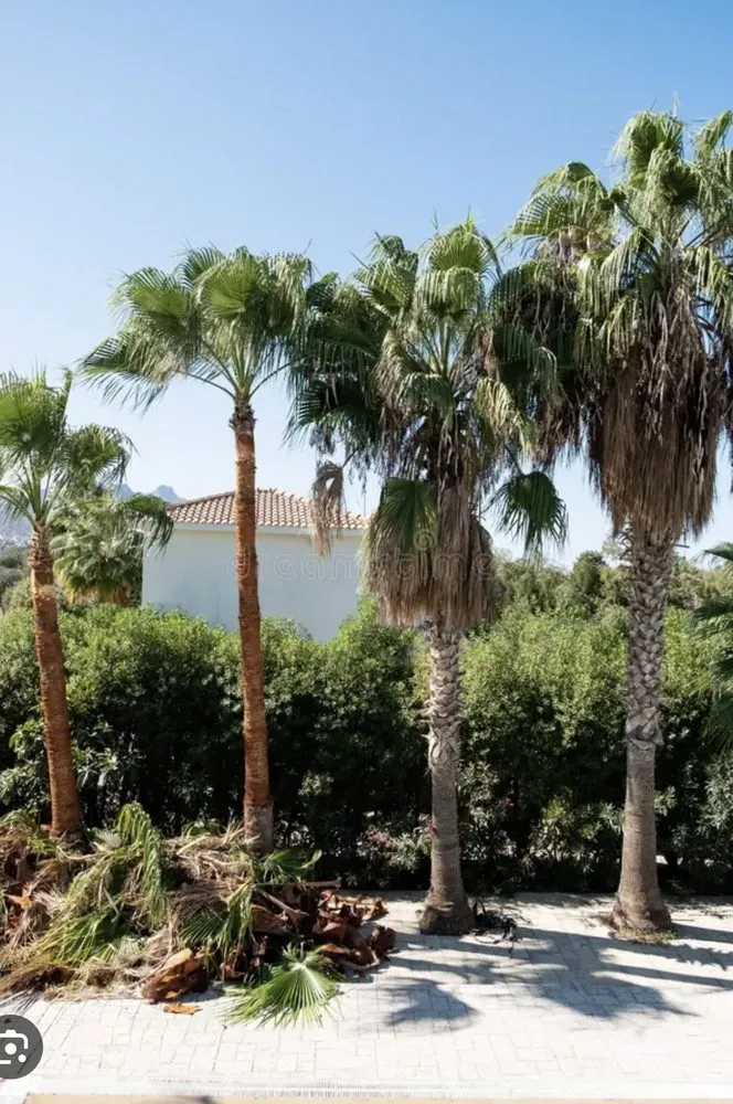 Top-rated lawn mowing service for year-round maintenance across Peoria, AZ - J&R Landscaping