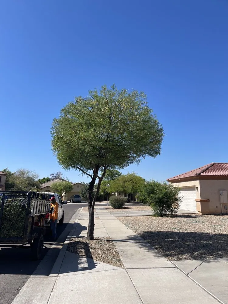 Local landscaping services in Peoria, AZ - J&R Landscaping
