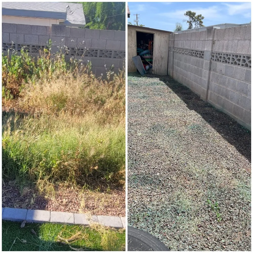 Reliable landscaping services experts serving Peoria, AZ - J&R Landscaping