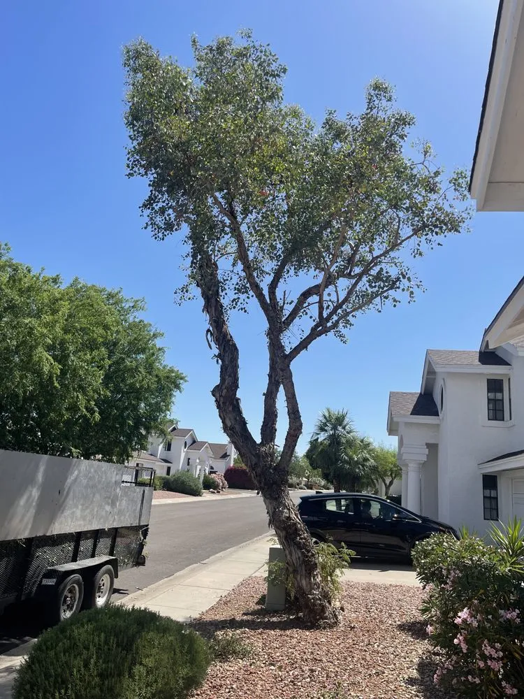 Top-rated outdoor landscaping experts serving Peoria, AZ - J&R Landscaping