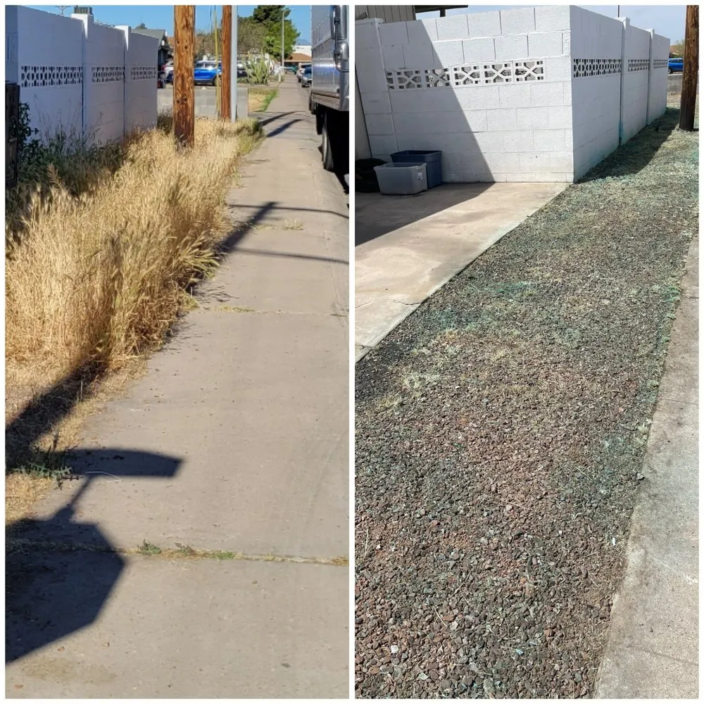 Expert landscape installation for residential properties in Peoria, AZ by J&R Landscaping