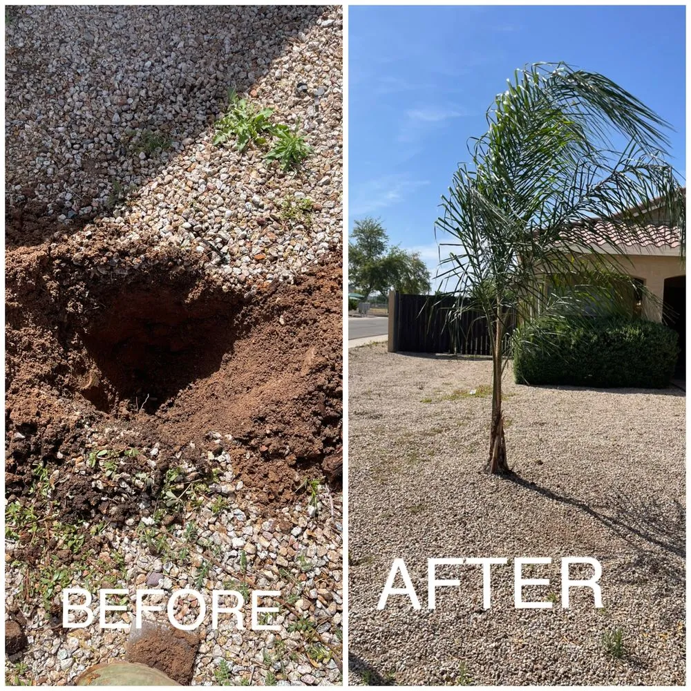 Affordable garden landscaping for homes across Peoria, AZ - J&R Landscaping