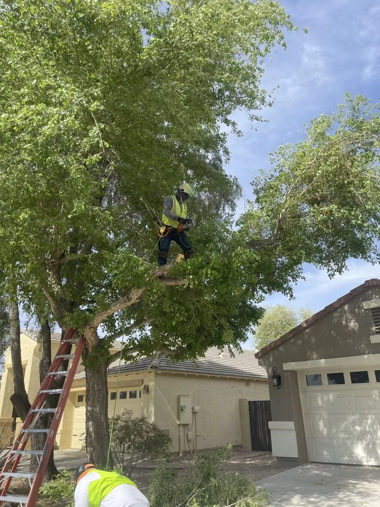 Custom yard maintenance in Peoria, AZ by J&R Landscaping