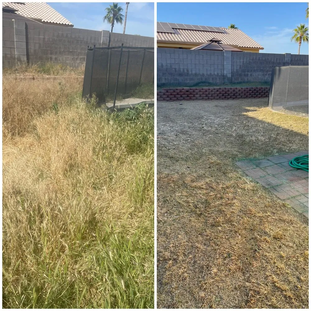 Local landscape installation for beautiful yards across Peoria, AZ - J&R Landscaping