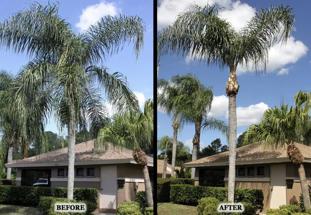 Professional landscaping services experts serving Peoria, AZ - J&R Landscaping