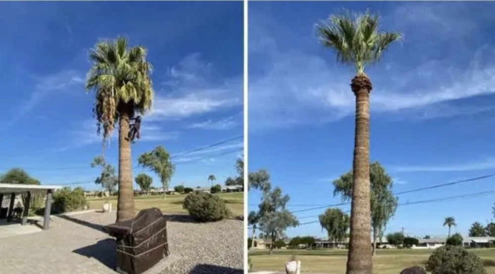 Custom landscaping services experts serving Peoria, AZ - J&R Landscaping