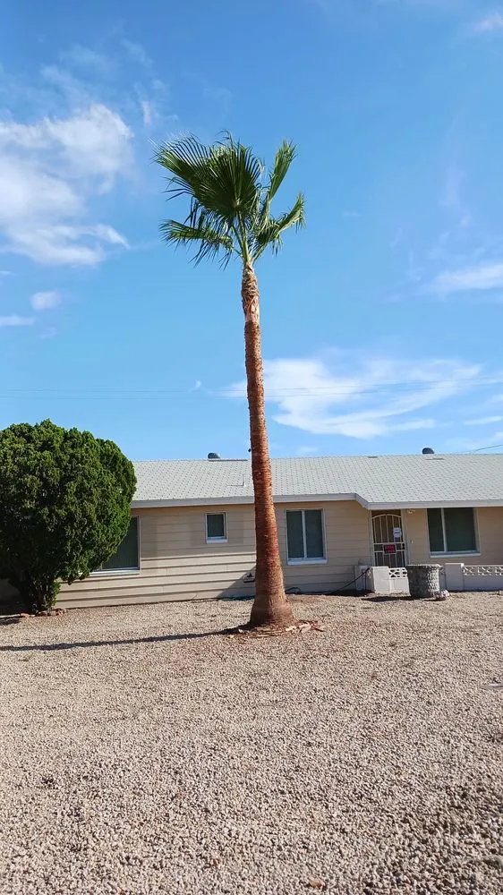 Trusted outdoor landscaping in Peoria, AZ - J&R Landscaping