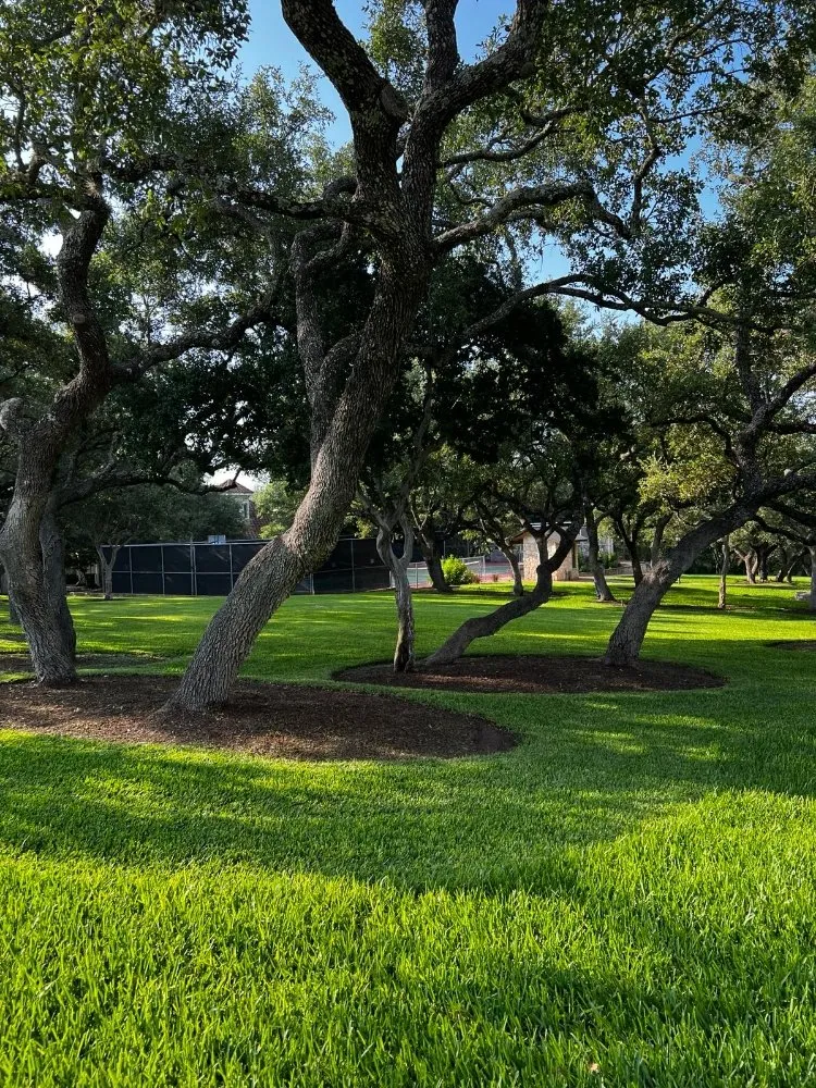 Reliable garden landscaping for residential properties across San Antonio, TX - JR Landscaping