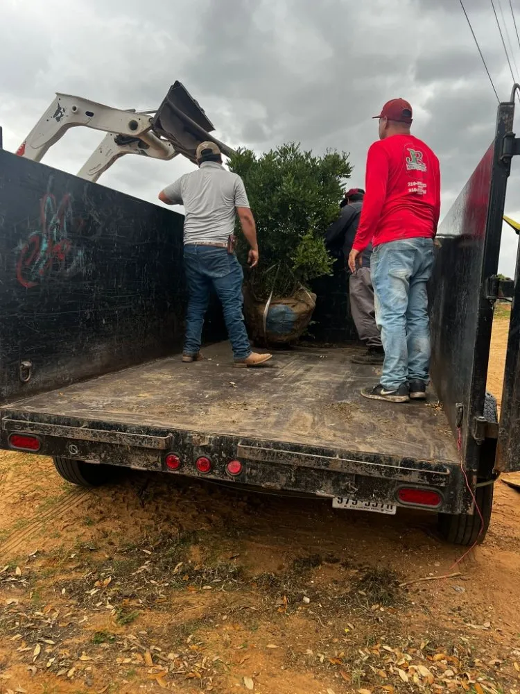 Custom garden landscaping in San Antonio, TX by JR Landscaping