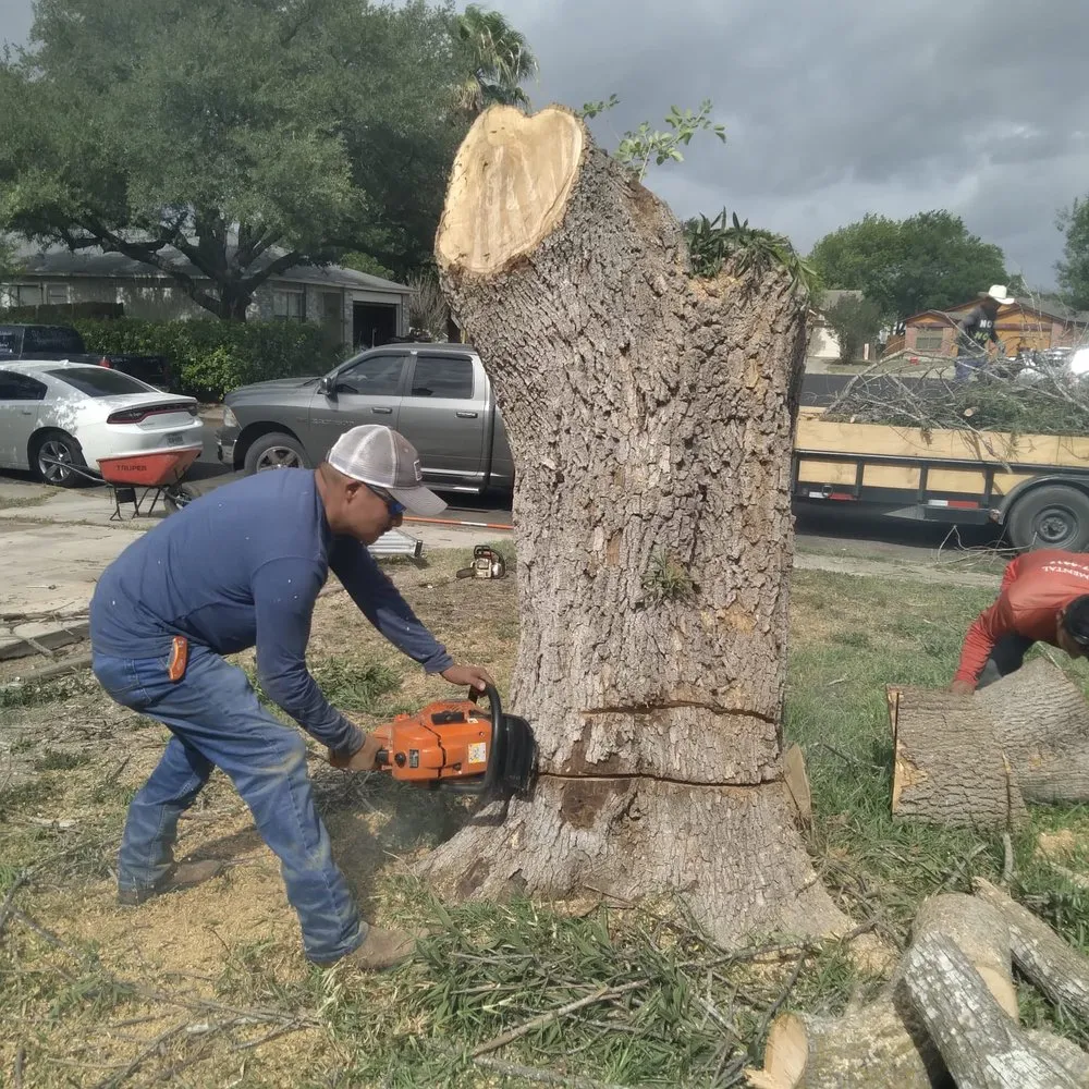 Expert residential landscaping for homes in San Antonio, TX by JR Landscaping