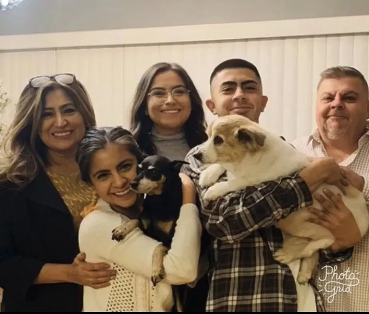 Trusted landscape design experts serving Chicago, IL - JR Landscaping Service