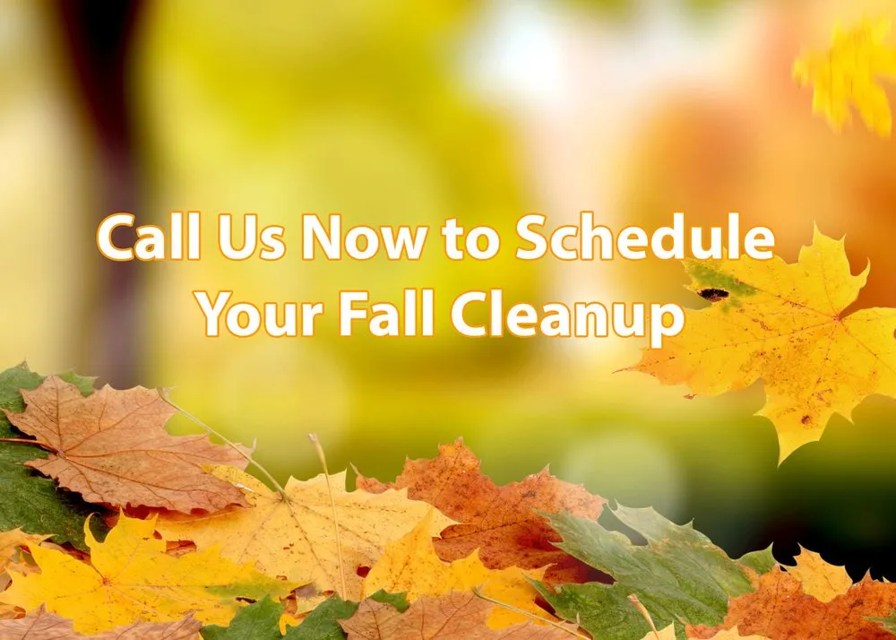 Local yard maintenance in Chicago, IL by JR Landscaping Service