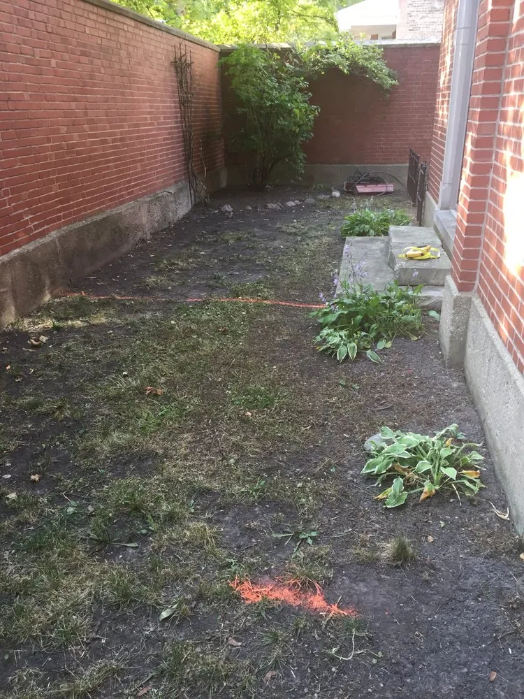 Local yard cleanup service experts serving Chicago, IL - JR Landscaping Service