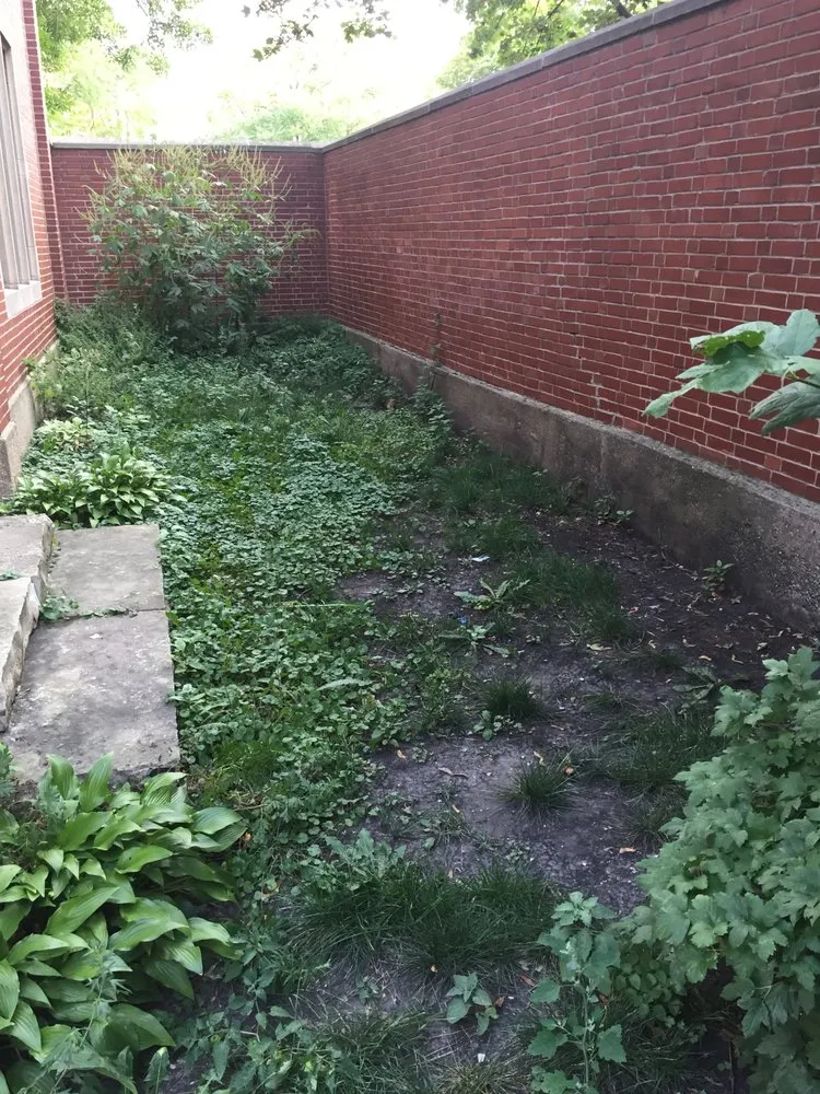 Trusted landscape installation for beautiful yards across Chicago, IL - JR Landscaping Service