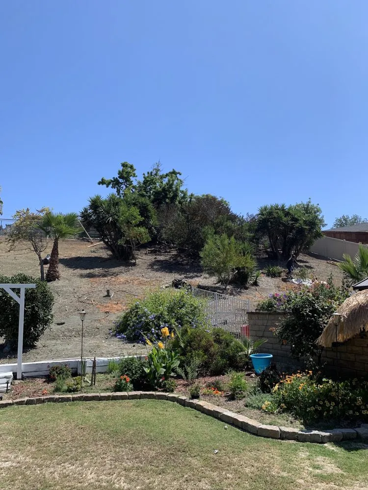 Trusted yard maintenance in Vista, CA - JR Landscaping Services
