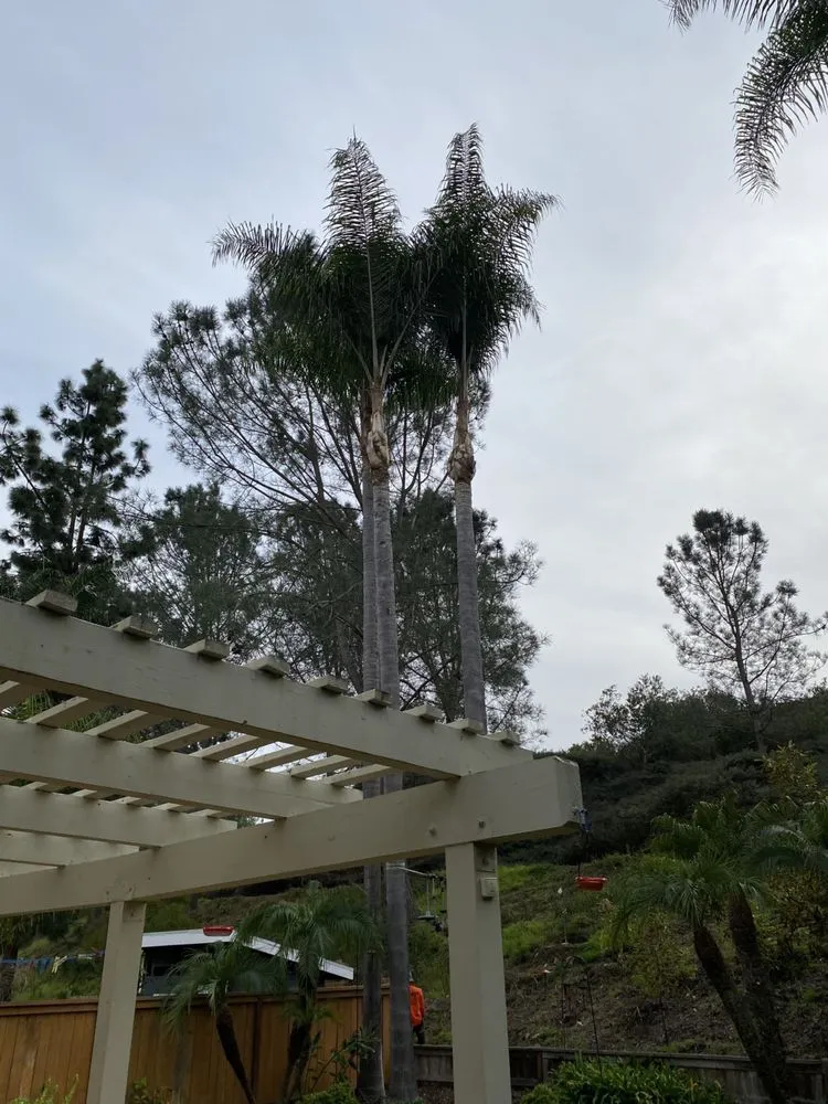 Trusted lawn mowing service in Vista, CA - JR Landscaping Services