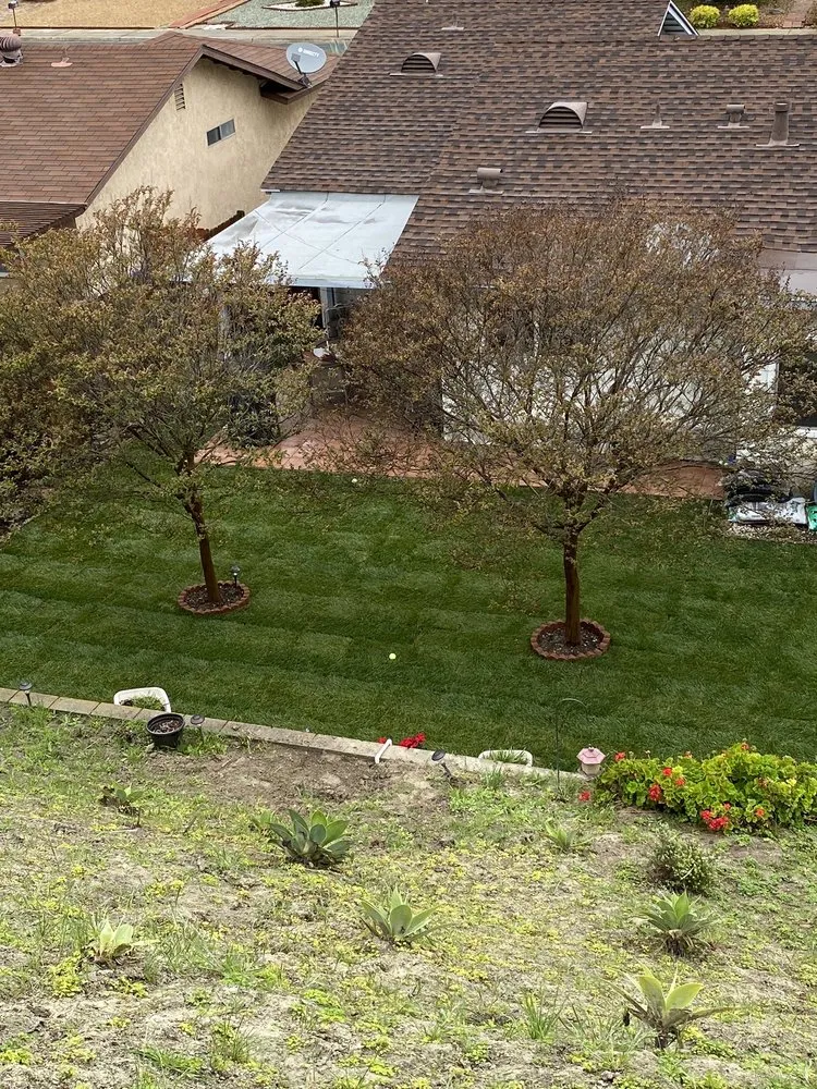 Expert yard maintenance for homes in Vista, CA by JR Landscaping Services