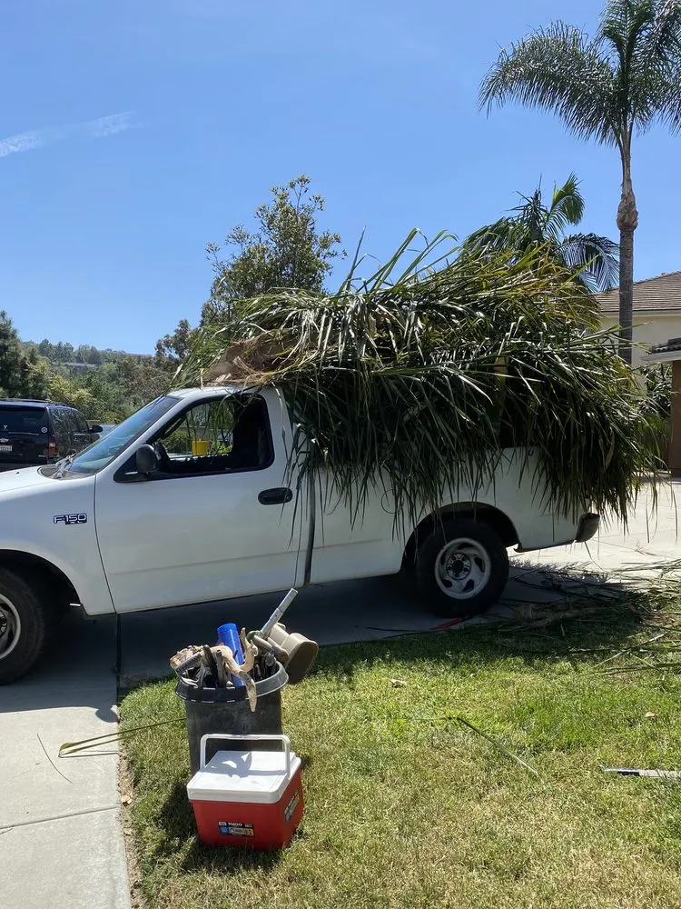 Trusted landscape design for outdoor upgrades in Vista, CA by JR Landscaping Services