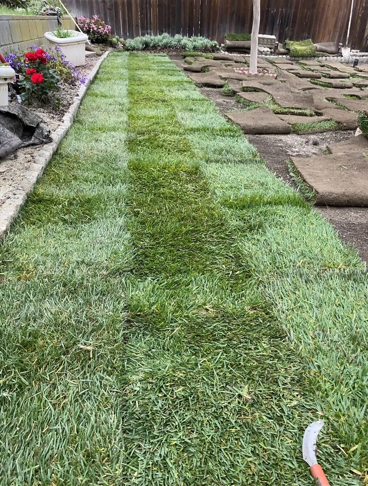 Reliable yard cleanup service in Vista, CA by JR Landscaping Services