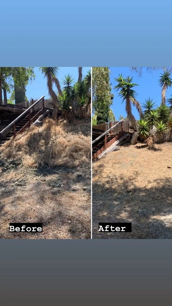 Custom landscaping services for residential properties in Vista, CA by JR Landscaping Services