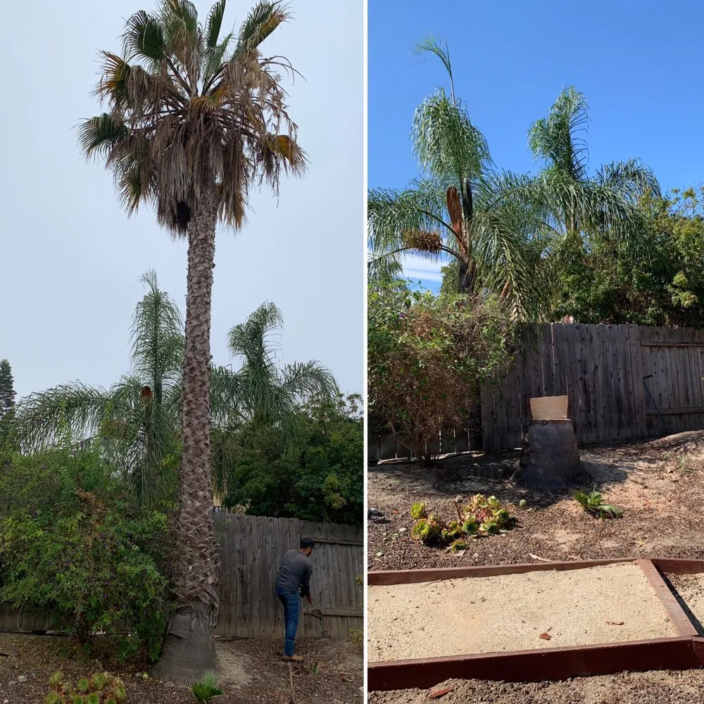 Reliable residential landscaping in Vista, CA - JR Landscaping Services