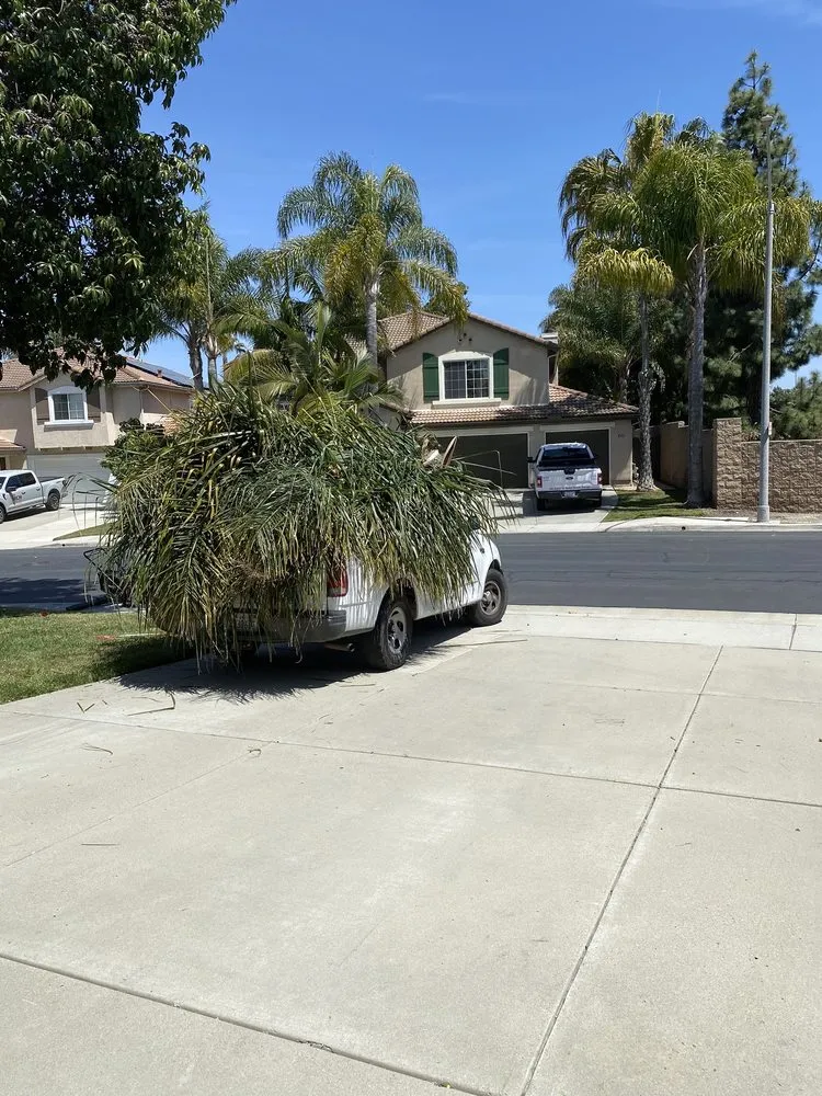 Reliable landscaping services in Vista, CA - JR Landscaping Services
