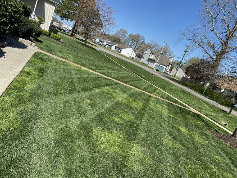 Reliable yard cleanup service for beautiful yards across Virginia Beach, VA - JR Landscaping