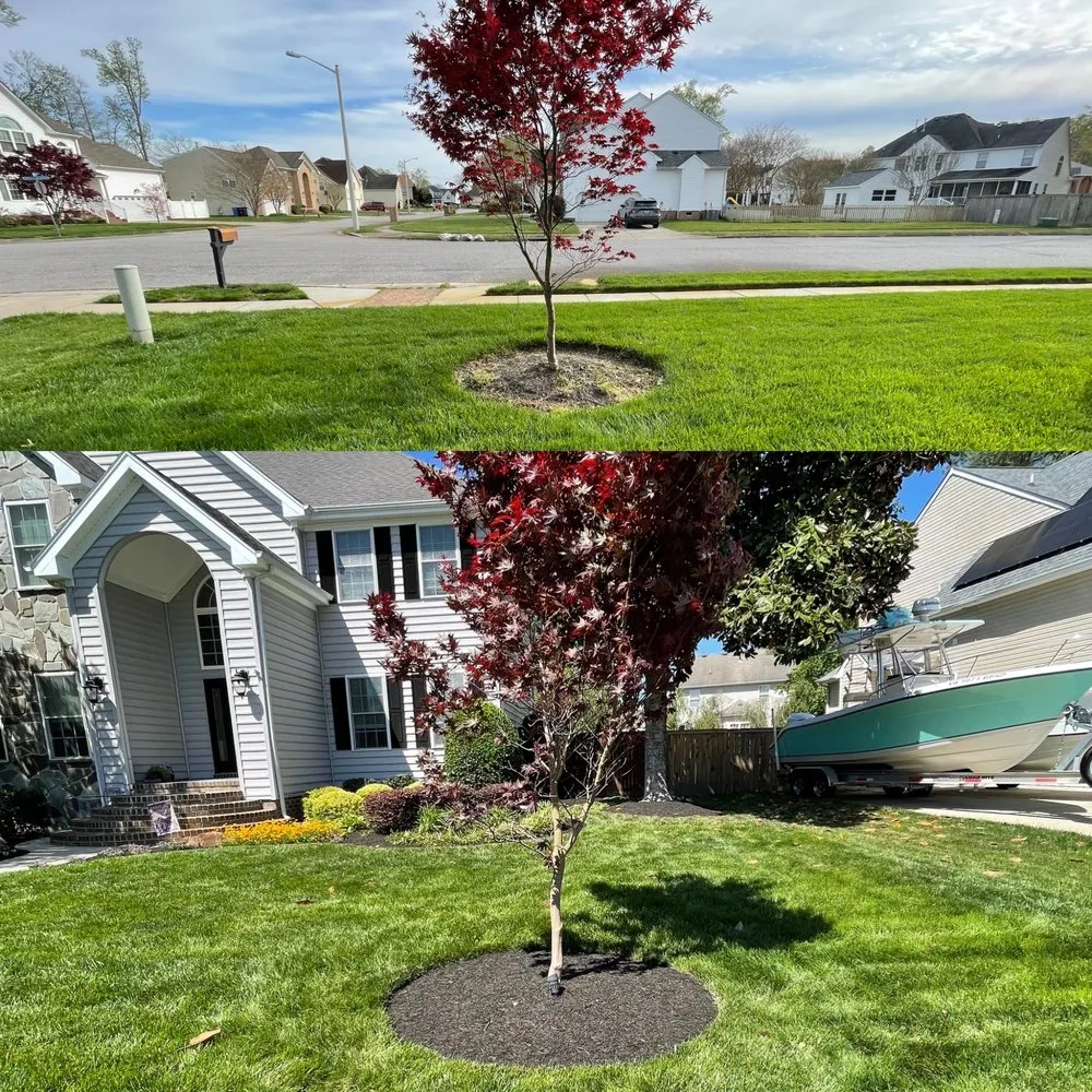Professional landscaping services in Virginia Beach, VA - JR Landscaping