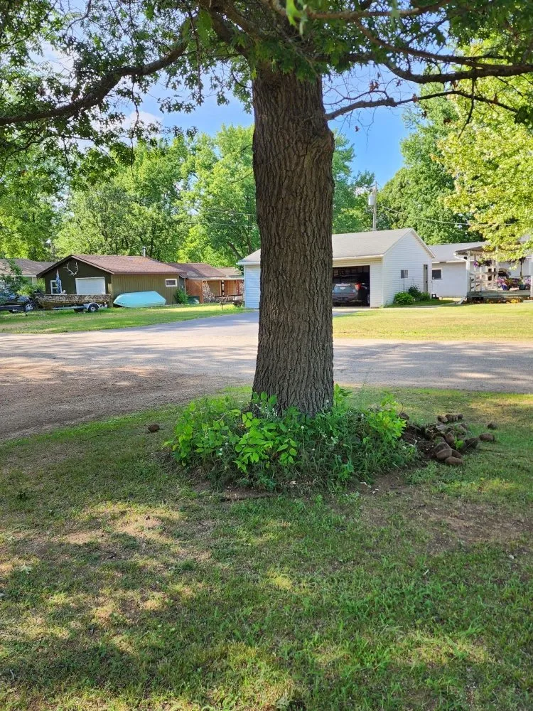 Affordable yard cleanup service for residential properties across Plainfield, WI - JR Lawn & Landscaping