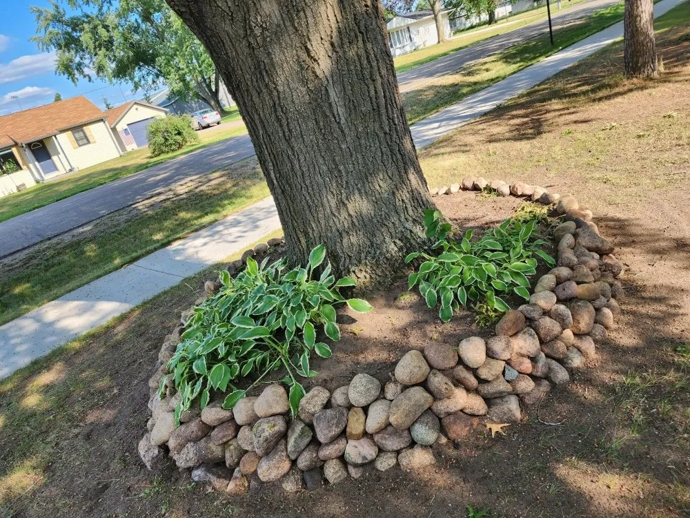 Custom yard maintenance in Plainfield, WI - JR Lawn & Landscaping