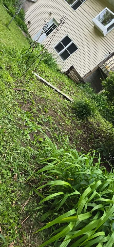 Affordable lawn mowing service experts serving Plainfield, WI - JR Lawn & Landscaping