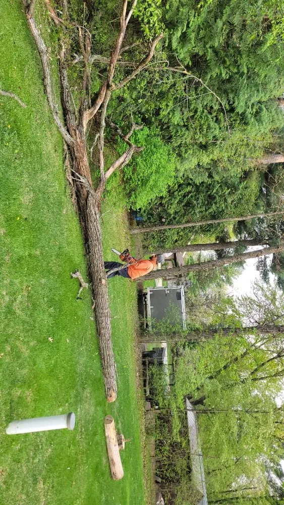 Trusted garden landscaping for outdoor upgrades across Plainfield, WI - JR Lawn & Landscaping