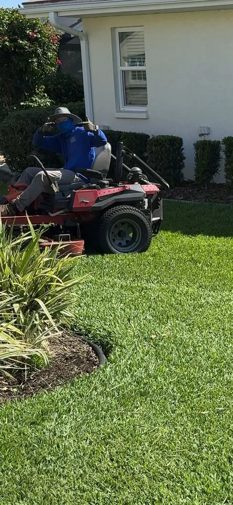 Reliable landscape design for residential properties across Venice, FL - Jr Lawn & Tree Service