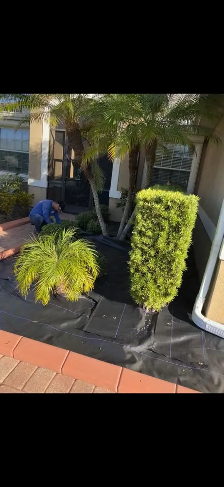 Expert landscape design in Venice, FL by Jr Lawn & Tree Service