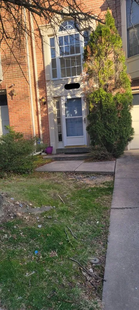 Top-rated residential landscaping for outdoor upgrades in Silver Spring, MD by Jr Lawn & Tree Services