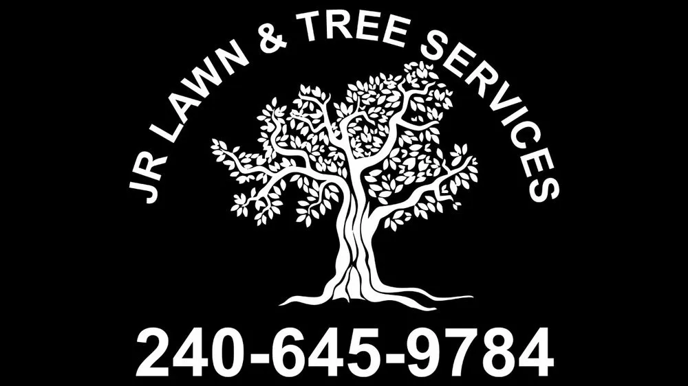 Expert lawn mowing service for homes in Silver Spring, MD by Jr Lawn & Tree Services