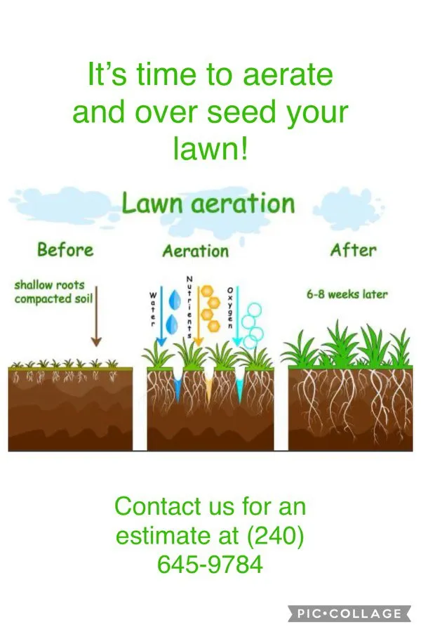 Expert landscape installation for year-round maintenance across Silver Spring, MD - Jr Lawn & Tree Services