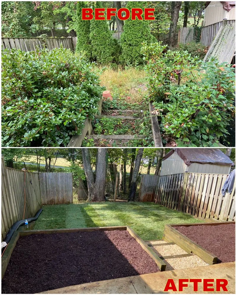 Expert yard cleanup service for residential properties across Silver Spring, MD - Jr Lawn & Tree Services