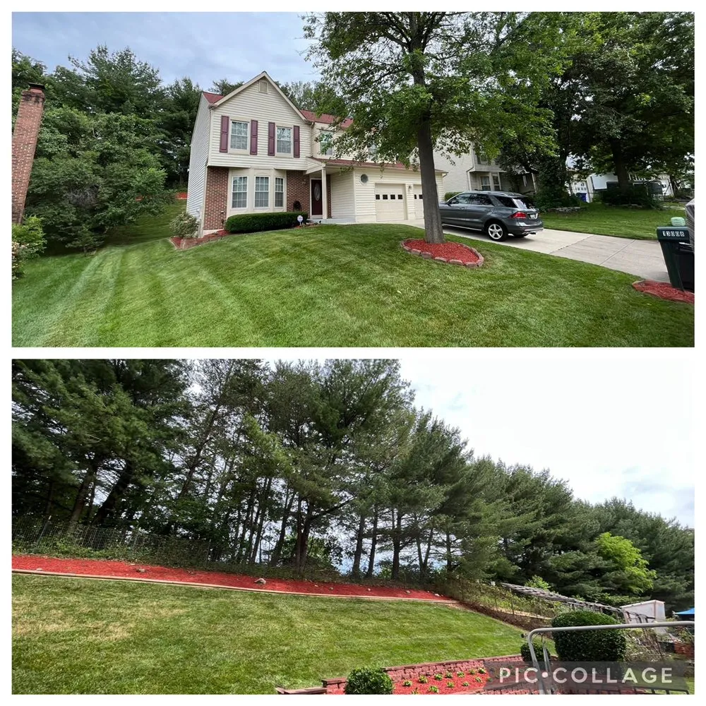 Top-rated garden landscaping for residential properties in Silver Spring, MD by Jr Lawn & Tree Services