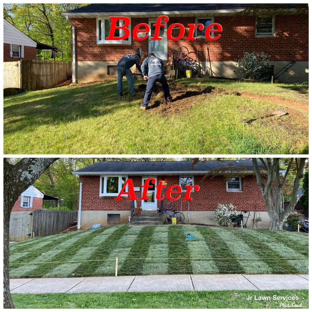 Reliable yard cleanup service in Silver Spring, MD - Jr Lawn & Tree Services