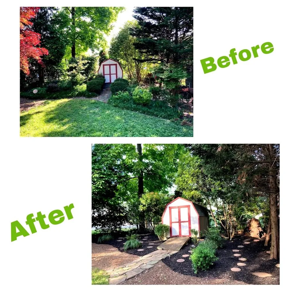 Professional lawn care service experts serving Silver Spring, MD - Jr Lawn & Tree Services