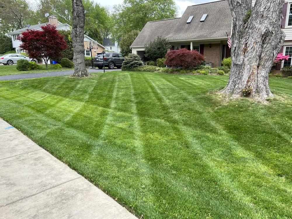 Affordable landscaping services near you across Silver Spring, MD - Jr Lawn & Tree Services