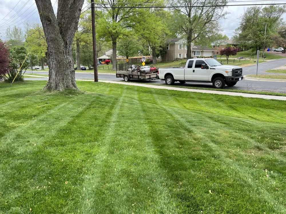 Expert lawn care service for residential properties across Silver Spring, MD - Jr Lawn & Tree Services