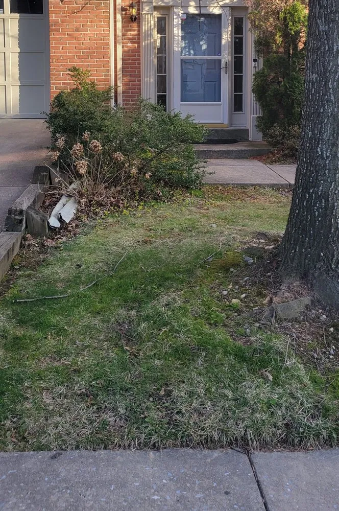 Trusted landscape installation for year-round maintenance across Silver Spring, MD - Jr Lawn & Tree Services